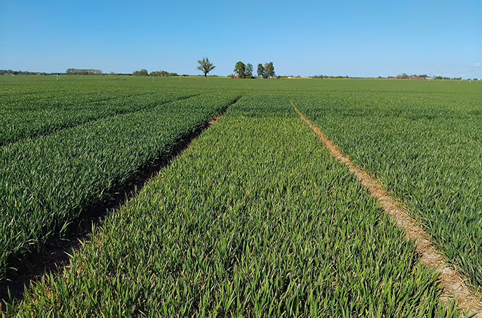 Lidköping fält v 20