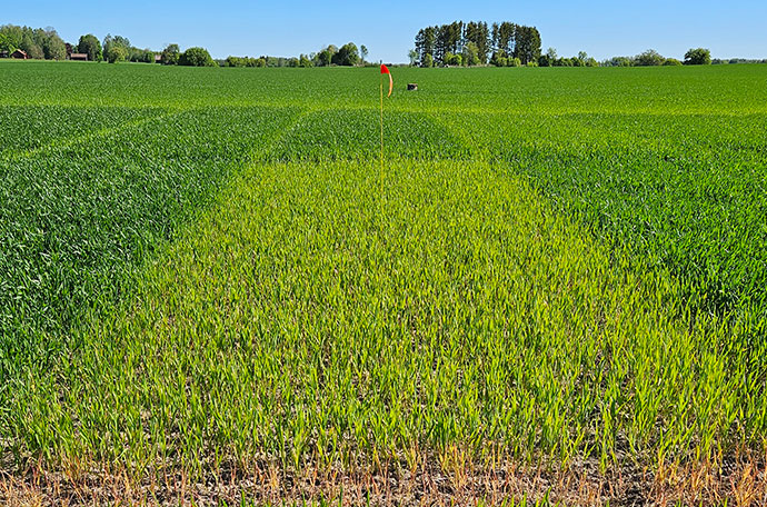 Nollruta Örebro vecka 21