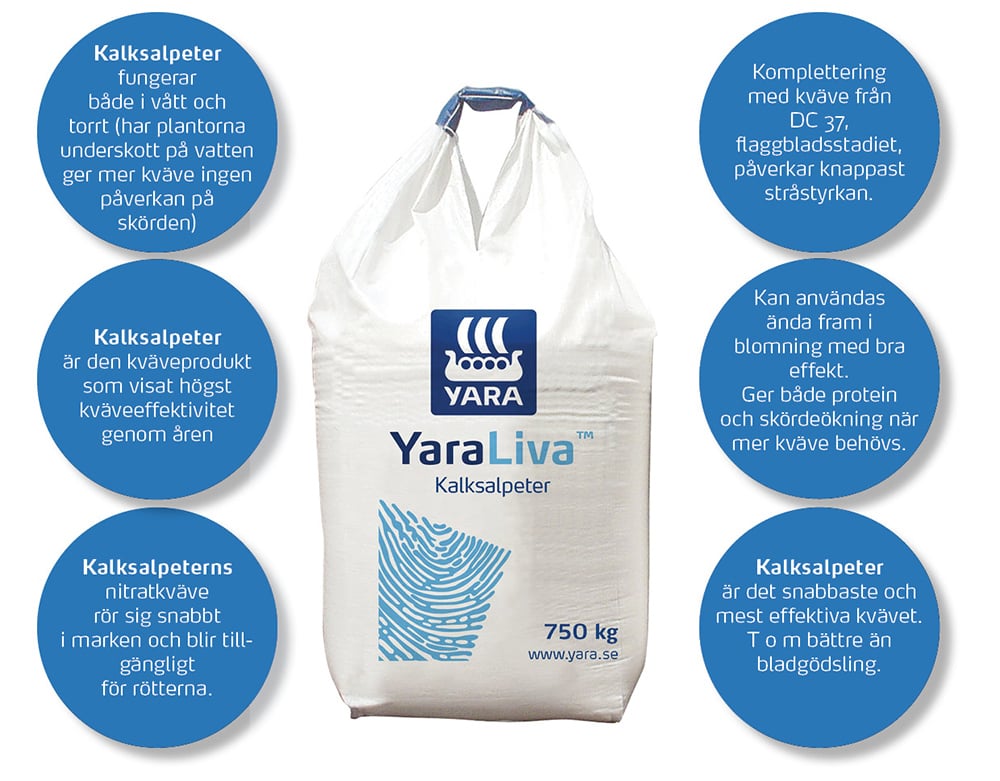 Busty qoramagiz bor becerdin