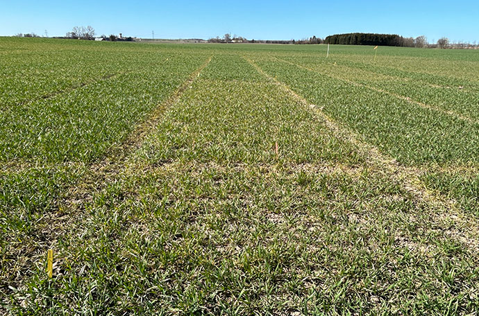 Nollruta Ängelhom v 15