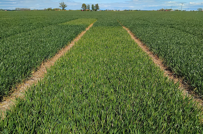 Lidköping v 19 fält