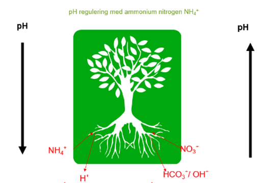 pH regulering med ammonium nitrogen