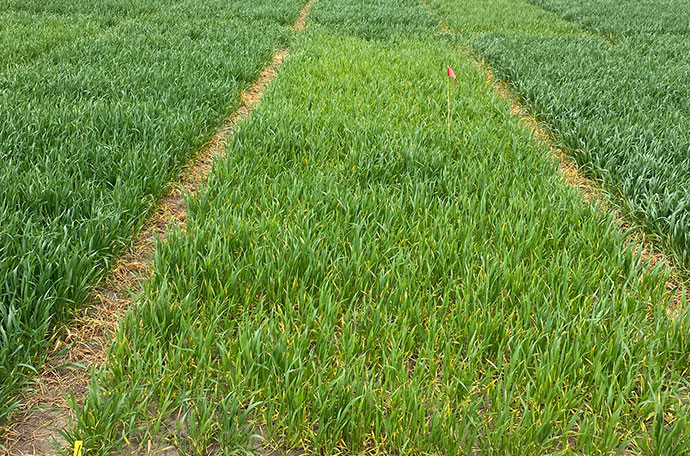 Nollruta i Torslunda v 20