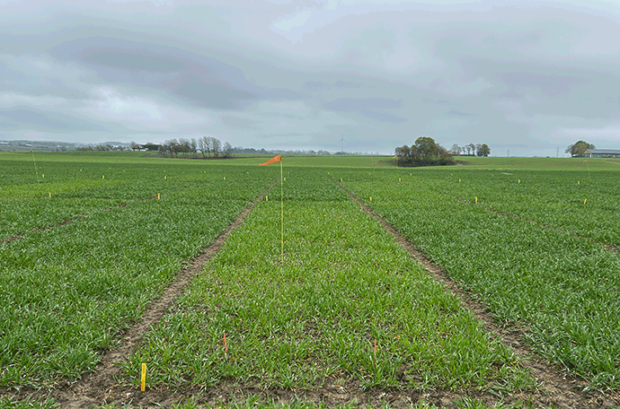Bild p&aring; Nollrutan i &Auml;ngelholm v 19