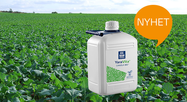 Canola Bio i fält