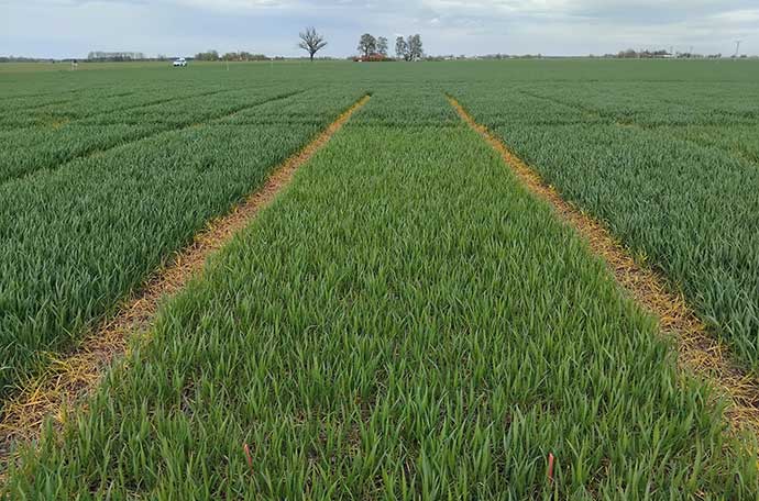 Nollruta i Lidköping v 18