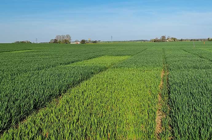 Ängelholm v 18 fält