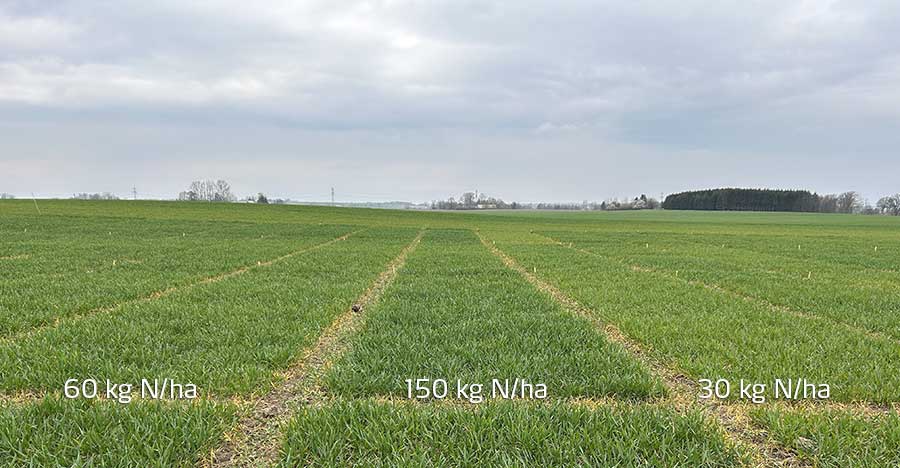 3 fält i Ängelholm