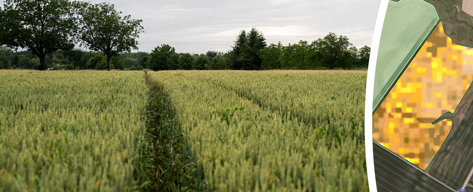 atfarm satellitbild