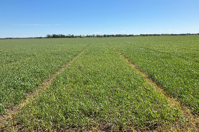 Nollruta Klockrike v 19