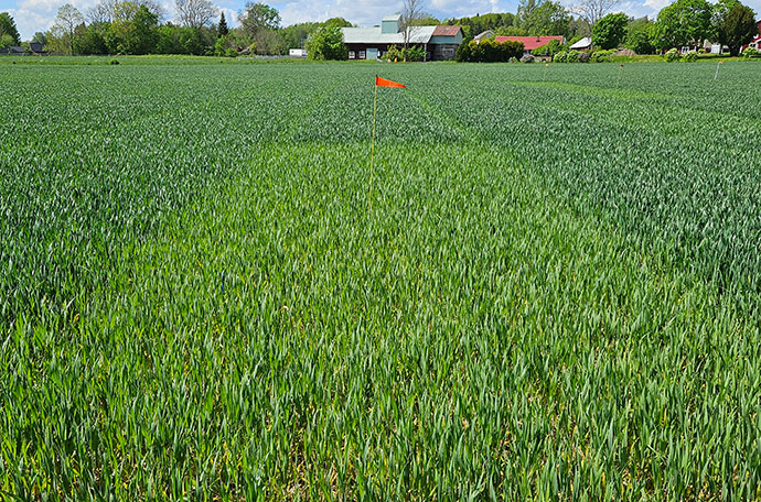 Fältet i Västerås vecka 22