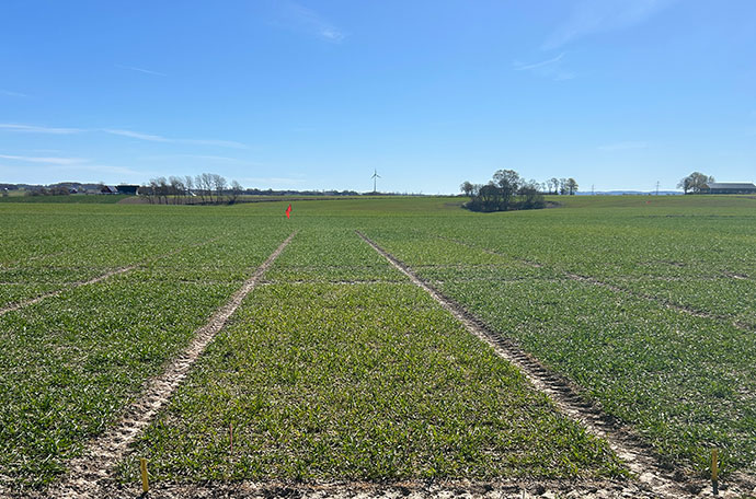 Nollruta &Auml;ngelholm