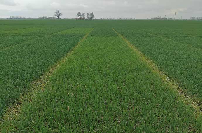 Fält Lidköping v 17