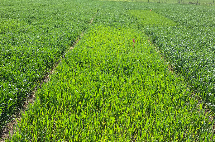 Nollruta Torslunda vecka 21