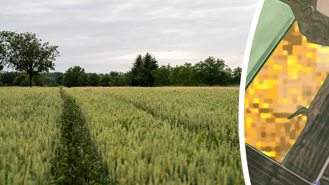 atfarm Satellitbild