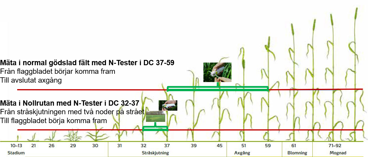 Visar när man mäter med N-Tester