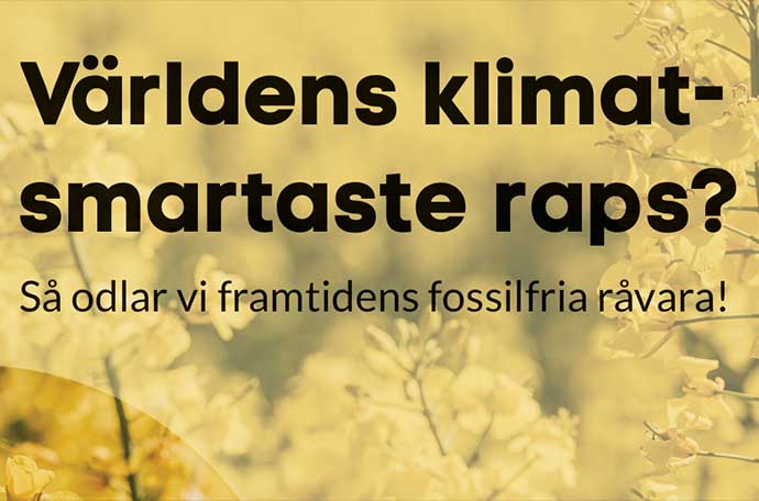 En bild på rapporten om världens eventuellt klimatsmartaste raps
