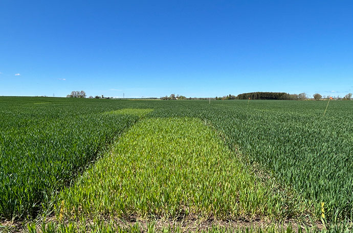 Nollruta Ängelholm v 19