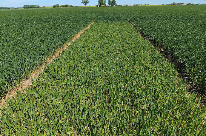 Nollruta Lidköping vecka 21