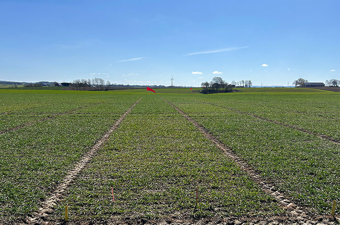 bild &Auml;ngelholm vecka 17