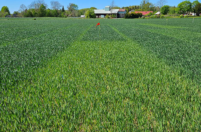 Nollruta i Västerås vecka 21